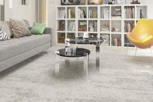 Living room carpet